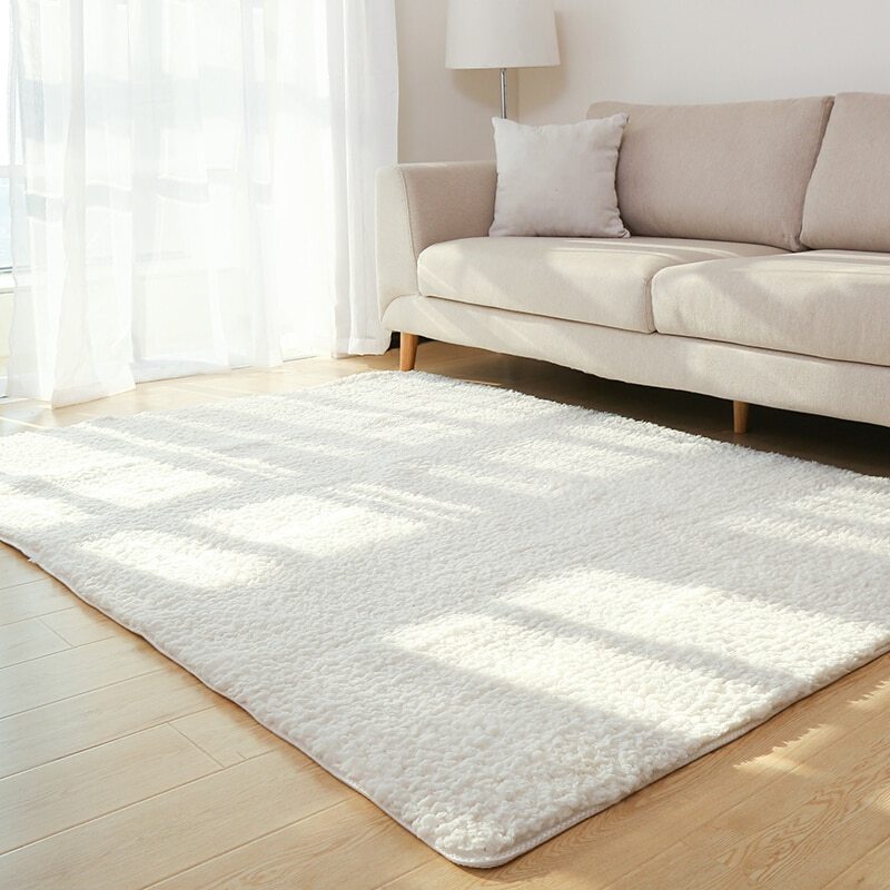 Soft Fluffy Rug